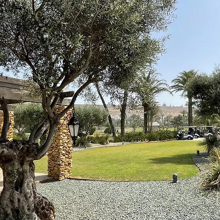 Cactus De 阿尔梅利马